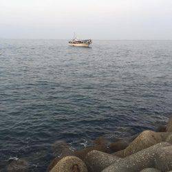 ダーツ？ダツ！