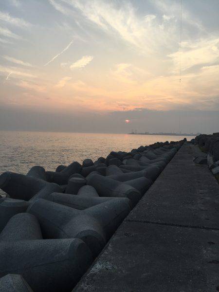 タコタコタコ！