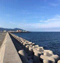 タチウオいない