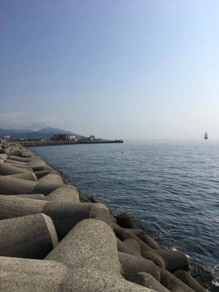 大サバのはずが