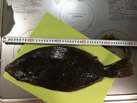 ルアーで初ヒラメ