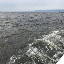 アジ狙うも本日波高し