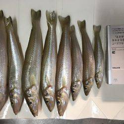 何でも狙いで行った結果