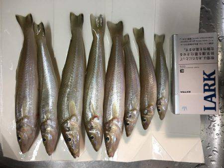 何でも狙いで行った結果