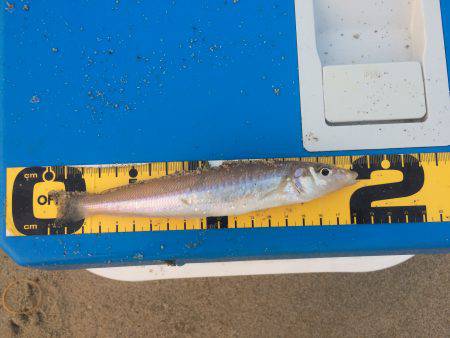 キスサイズアップ〜