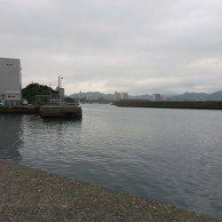 アジ狙いがカマスの嵐！