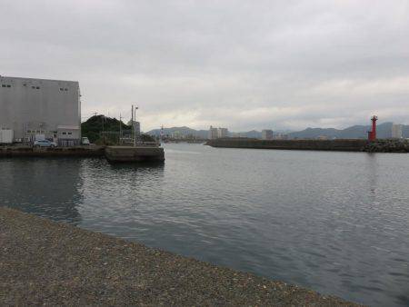 アジ狙いがカマスの嵐！