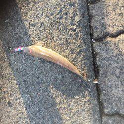 初、敦賀新港エソング