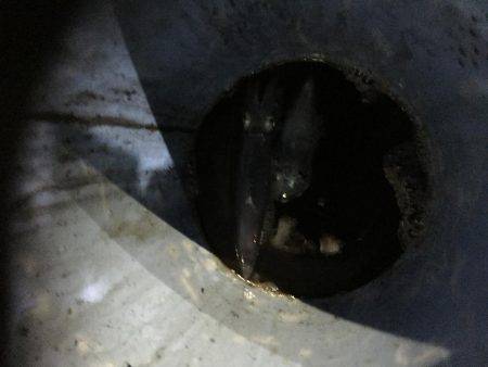 初、イカメタル