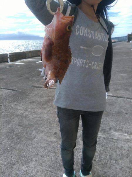 警報が出る日の釣行