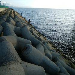 穴釣りのちメバリング