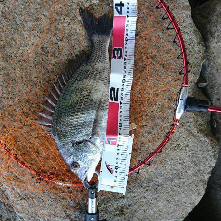 雨のあと、濁りを期待。