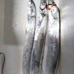 阿南市の辰巳でタチウオとツバス