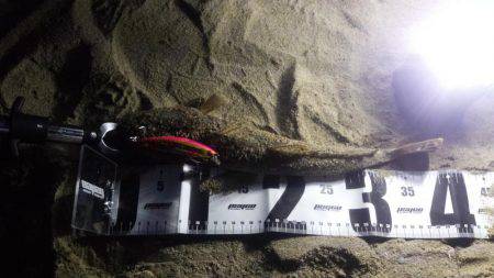 初　千代崎ビーチ　ジギング