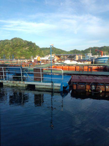 まるちよう海上釣堀