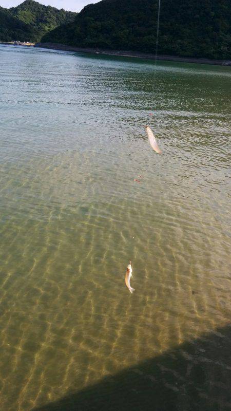 久しぶりの和歌山