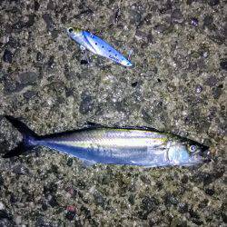 リベンジならず…