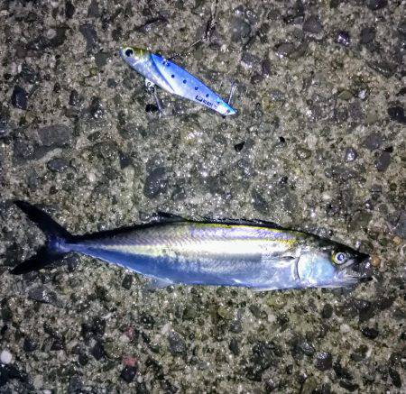 リベンジならず…