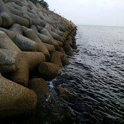 ジグサビキ、ワインド