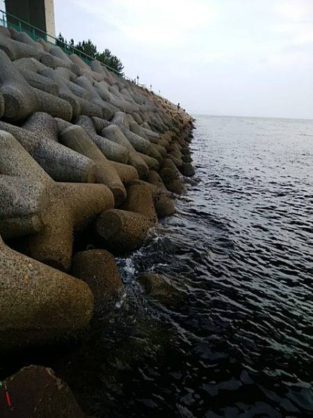 ジグサビキ、ワインド