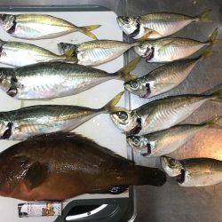 筏で尺アジ、アコウ