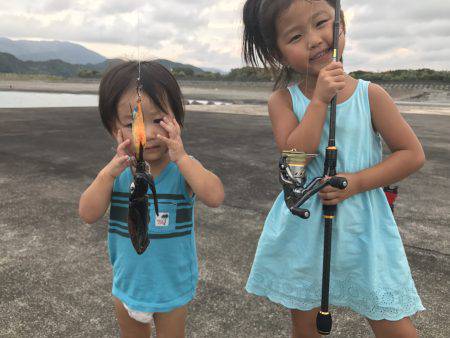 アオリイカ 子イカ