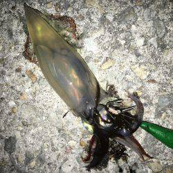 ケンちゃんは付き合いが悪い。