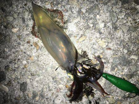 ケンちゃんは付き合いが悪い。