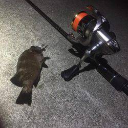 まだまだ懲りずにメバリング