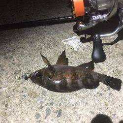 いつまでメバリング