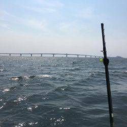 立会川小林丸 シロギス船 釣行