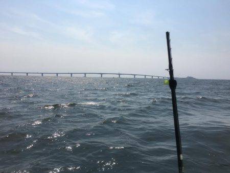 立会川小林丸 シロギス船 釣行