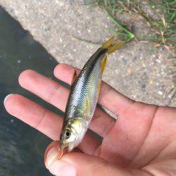 ちょっと暇つぶし