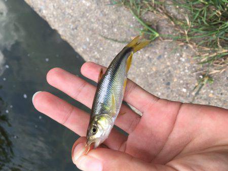 ちょっと暇つぶし