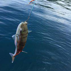 唐尾漁港沖合で