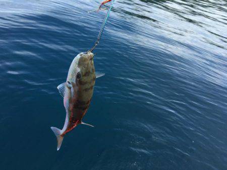 唐尾漁港沖合で