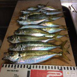 アジ釣り⑪