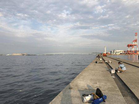 ポーアイ沖にてツバス大量！