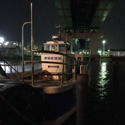 タコを求めて。