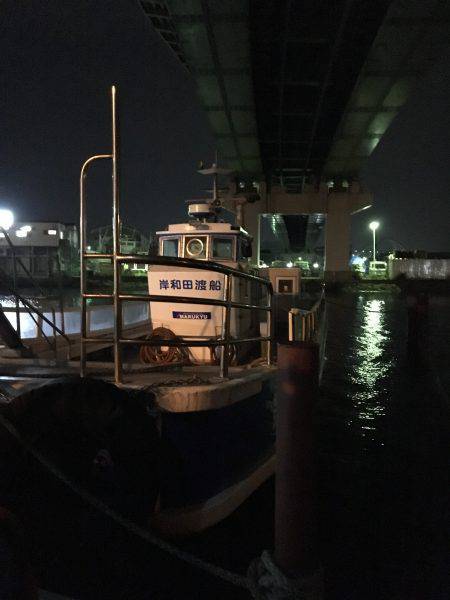 タコを求めて。