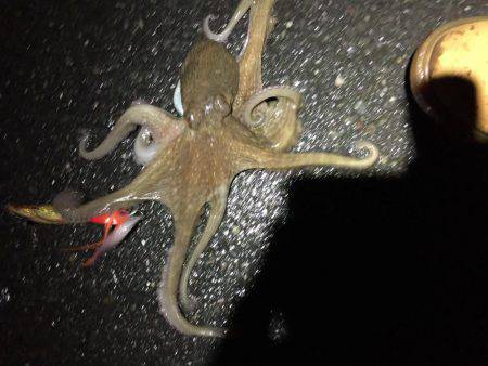 台風後の釣行〜