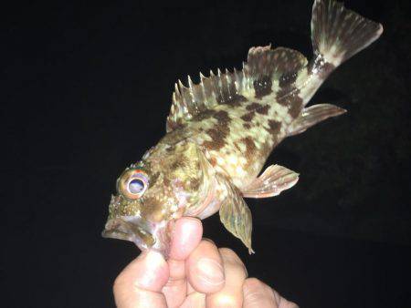 外道王 崇之 （￣+ー￣）ふっ