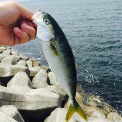 買い物ついでに