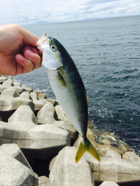 買い物ついでに