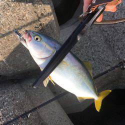 いつまでツバスいるのかな