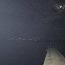 アオリ キロアップ