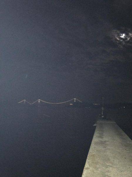 アオリ キロアップ