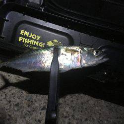 1年ぶりのお楽しみ