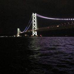 ケンサキイカ 調査