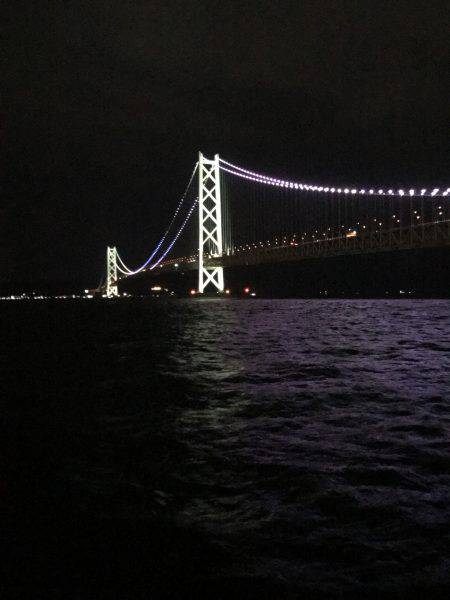 ケンサキイカ 調査